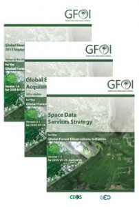 SDCG for GFOI Strategy Documents